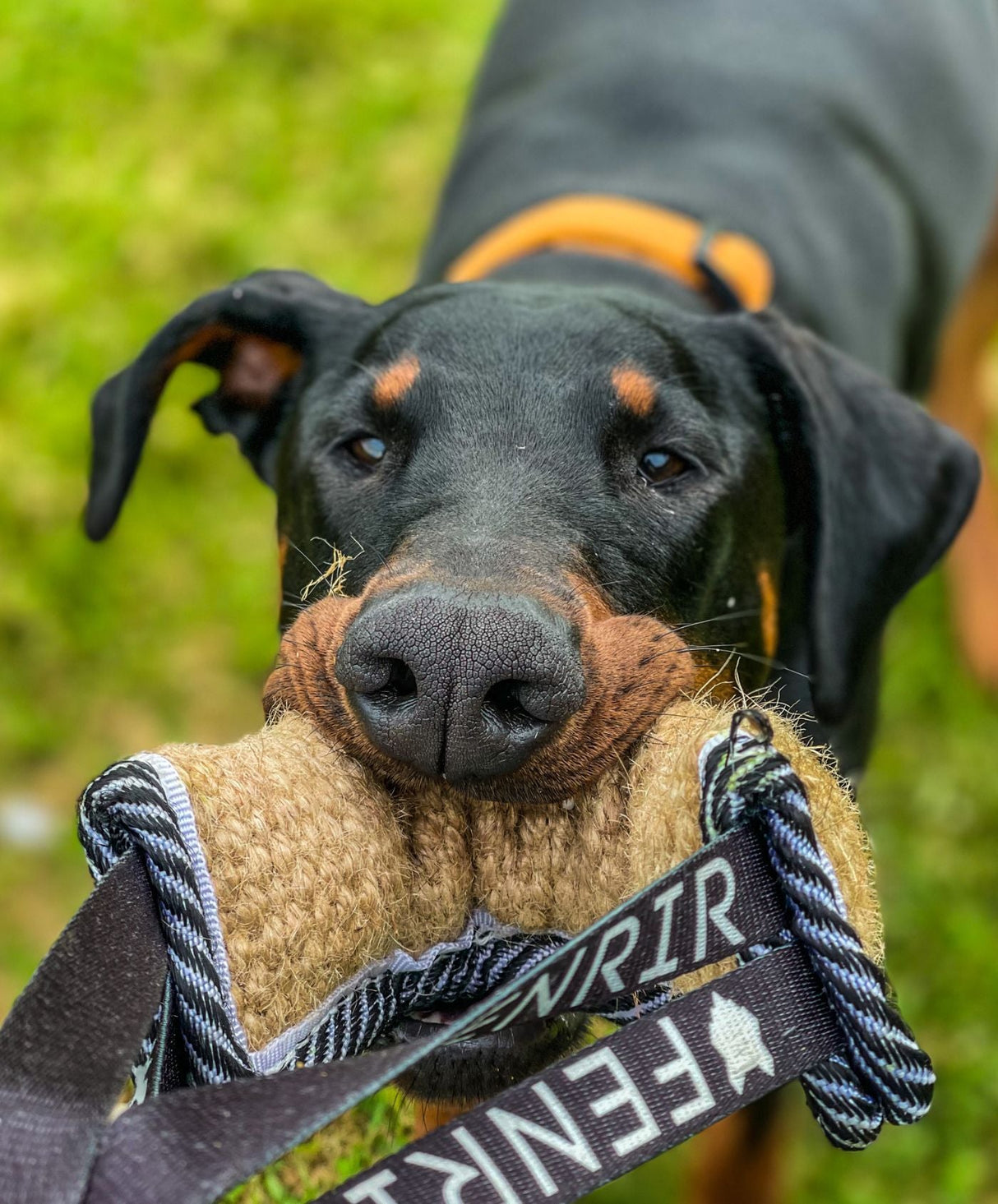 Fenrir Jute Tug Toy