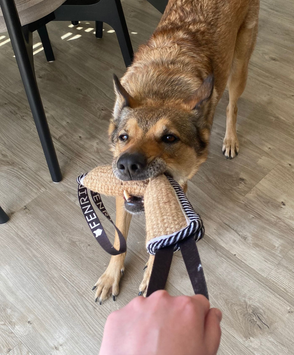 Fenrir Jute Tug Toy