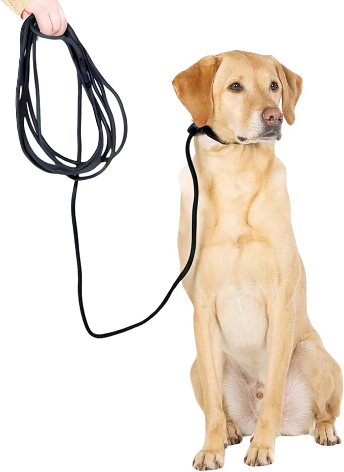 Fenrir Long Line Slip Leash 6m Professional Dog Training Lead to Train Recall, Perfect for Recall, Easy to Use, Spring Loaded Stopper, Light Weight and Durable