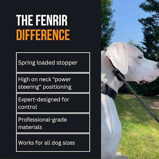 Fenrir Slip Leash 1.4m Professional Dog Training Lead to Stop Pulling, Perfect for Walks, Easy to Use, Spring Loaded Stopper, Light Weight and Durable