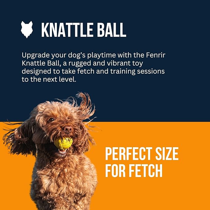 Fenrir High Bouncing Durable Yellow Rubber Knattle Dog Ball Perfect for Fetch and Recall 2.5 Inch Diameter Toy