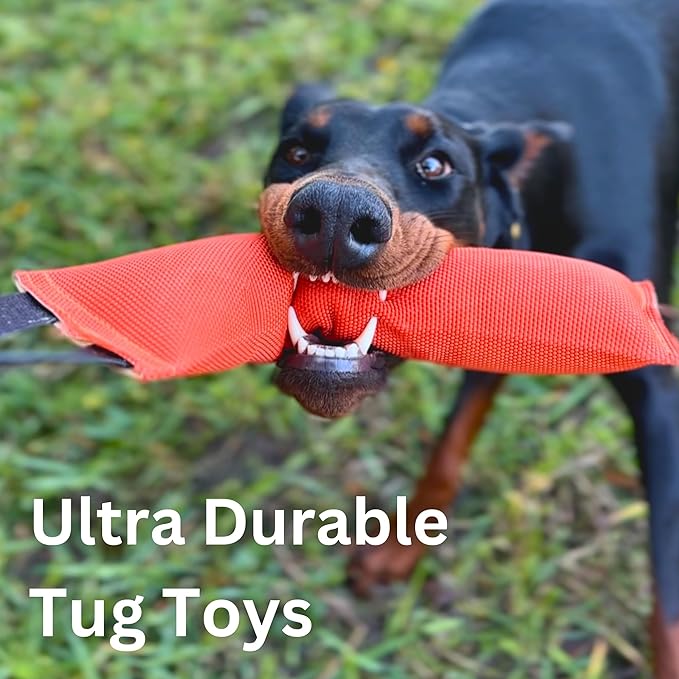 Fenrir 12 Inch Rugged Fire Hose Dog Tug Toy for Large Dogs No Squeaker, Firm Stuffing for Canines