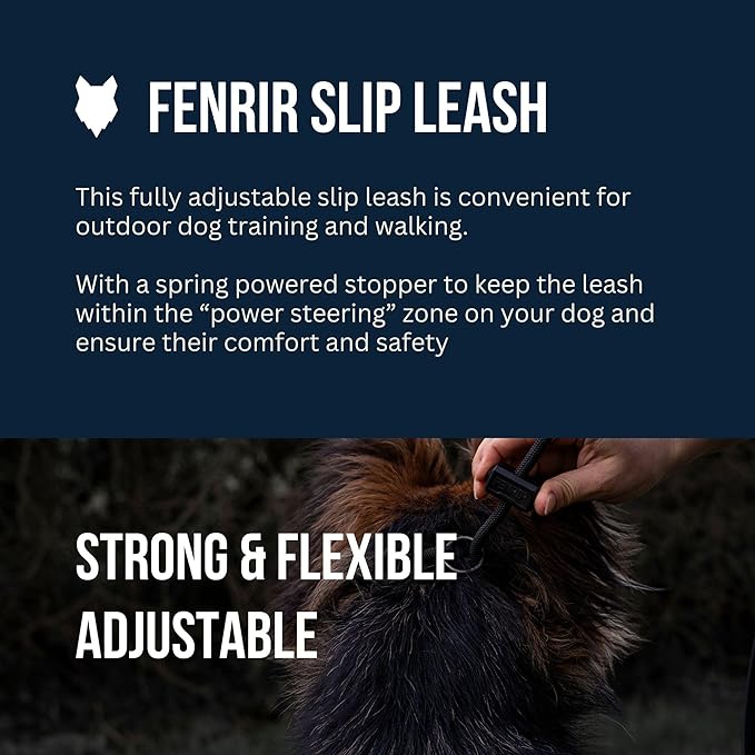Fenrir Slip Leash 1.4m Professional Dog Training Lead to Stop Pulling, Perfect for Walks, Easy to Use, Spring Loaded Stopper, Light Weight and Durable