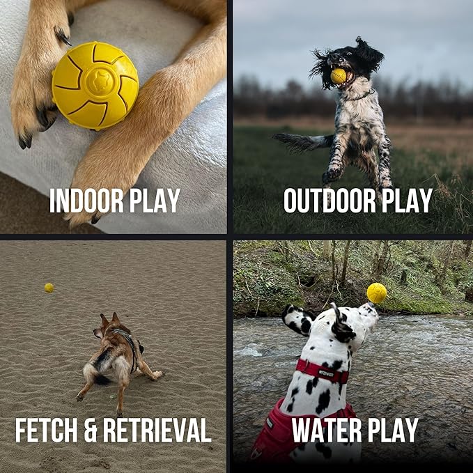 Fenrir High Bouncing Durable Yellow Rubber Knattle Dog Ball Perfect for Fetch and Recall 2.5 Inch Diameter Toy