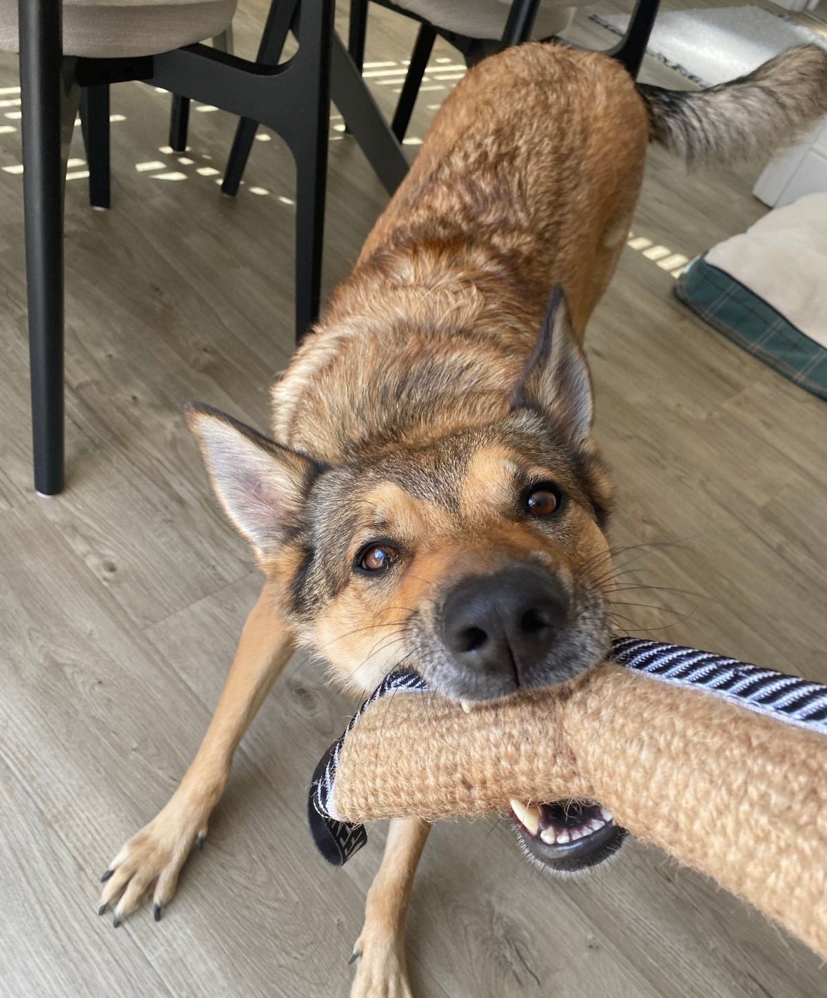Tug Toys
