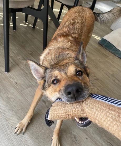 Tug Toys