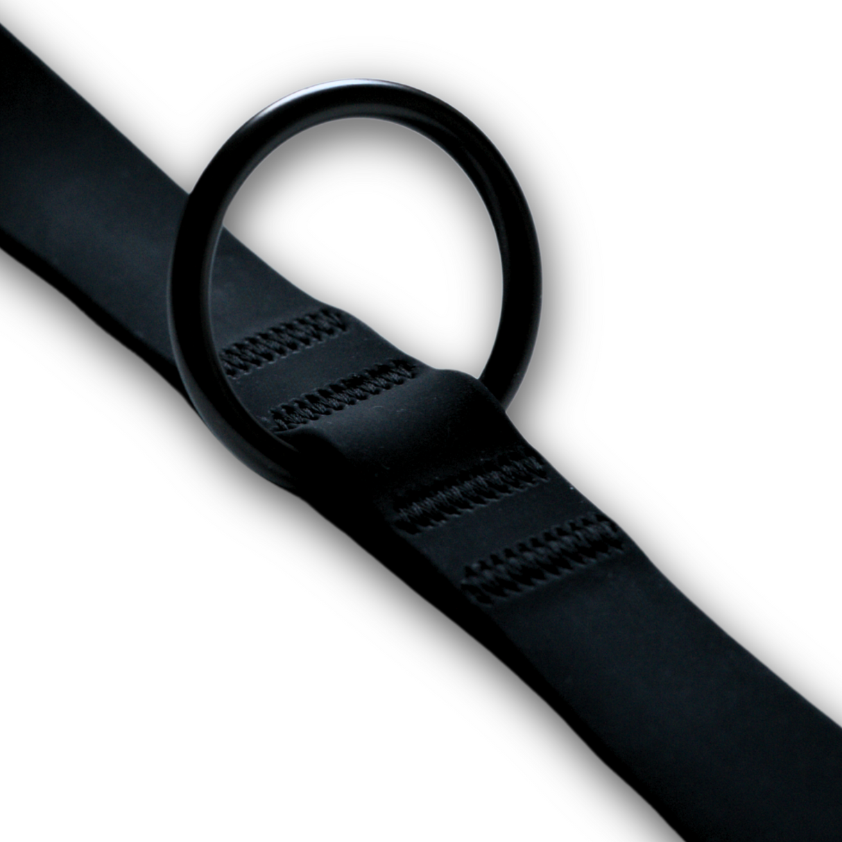 Dog Training Leash
