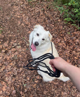 Fenrir Pro Long Line Slip Leash