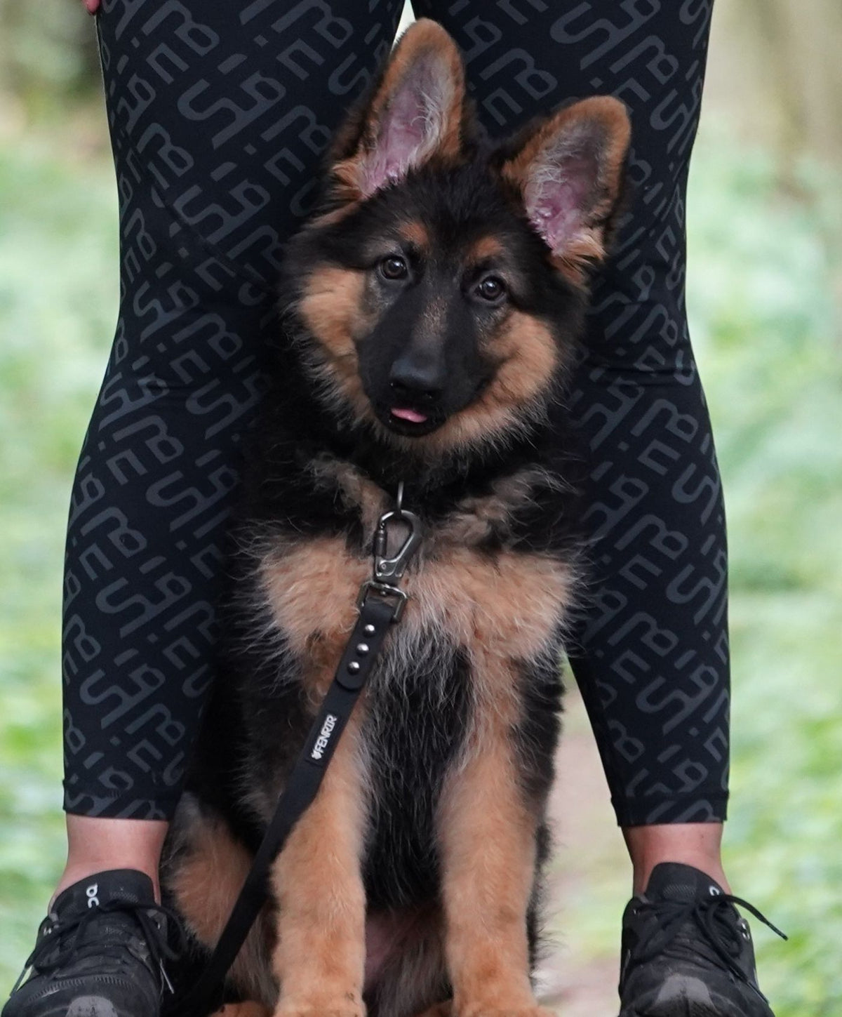 Fenrir Rangar Leash