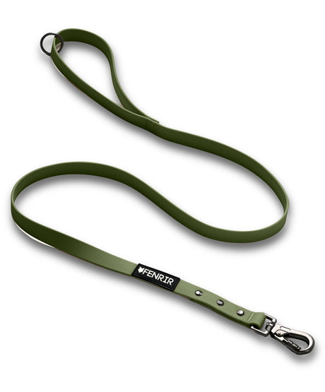 Green Fenrir Ragnar Leash
