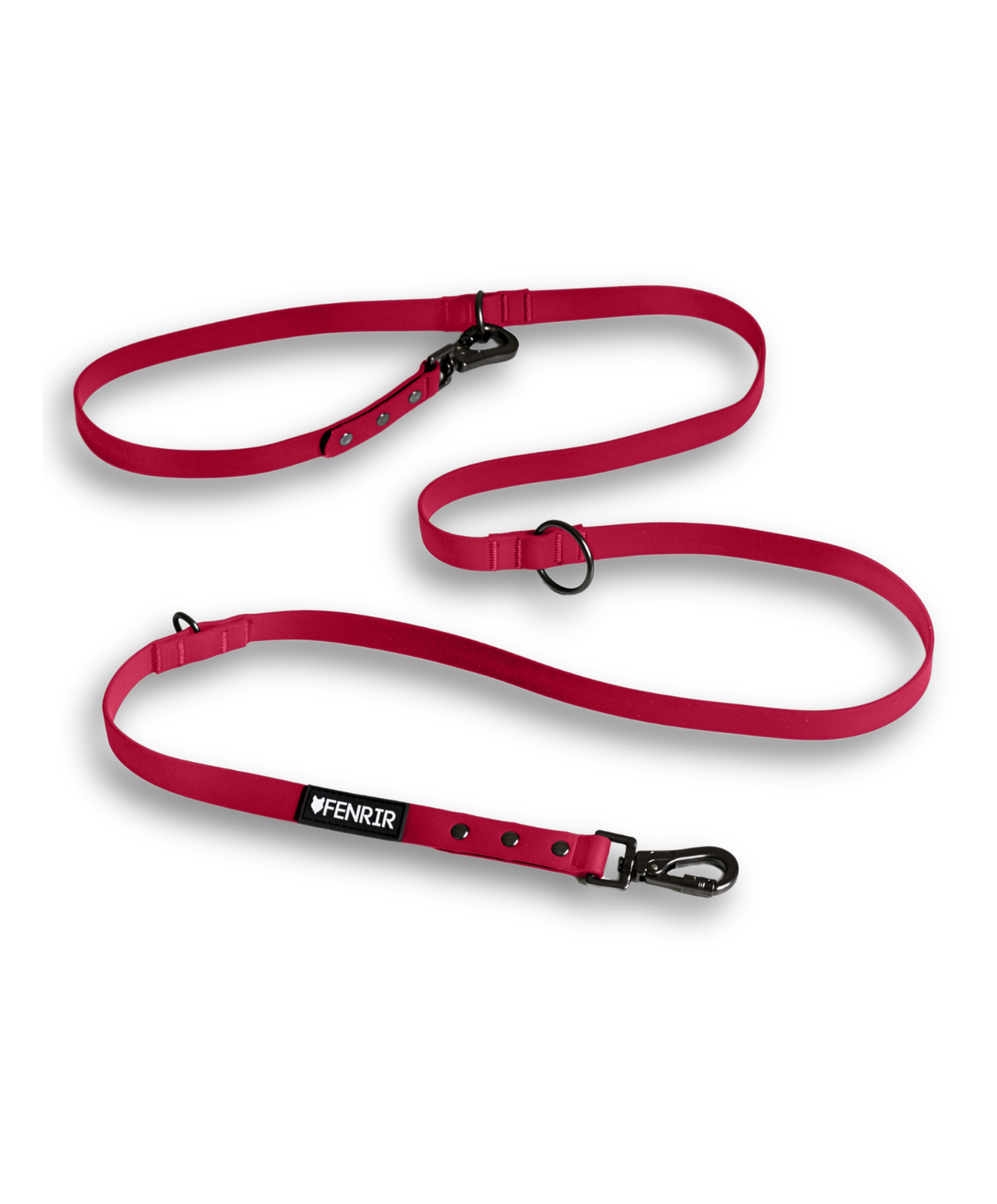 Dog Training Leash